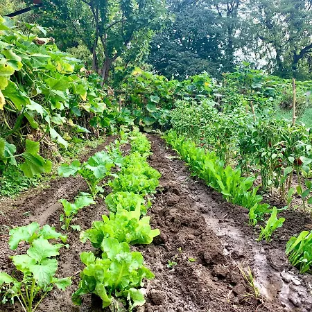 Cascina Bellaria Mediolan