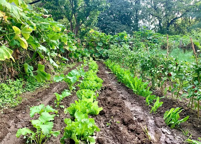 Cascina Bellaria Mediolan